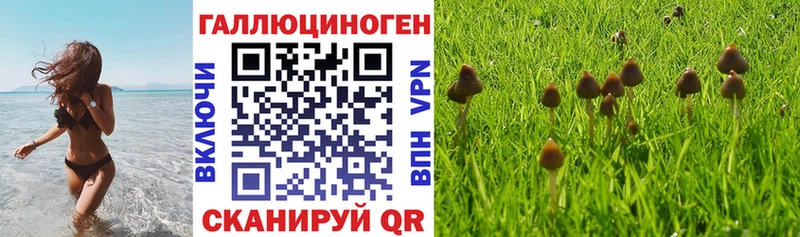 Купить закладки  Тутаев  Псилоцибиновые грибы Psilocybine cubensis 